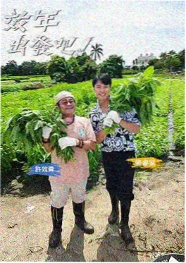 小镇慢生活综艺海报